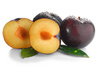 plums - photo/picture definition - plums word and phrase image