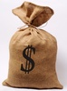 money sack - photo/picture definition - money sack word and phrase image