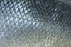 fish scales - photo/picture definition - fish scales word and phrase image