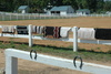 saddle blankets - photo/picture definition - saddle blankets word and phrase image