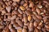 Almonds - photo/picture definition - Almonds word and phrase image