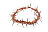 thorn crown - photo/picture definition - thorn crown word and phrase image