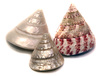 mollusk shell - photo/picture definition - mollusk shell word and phrase image