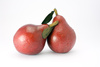red pear - photo/picture definition - red pear word and phrase image
