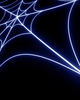 spider web - photo/picture definition - spider web word and phrase image