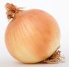 Onion - photo/picture definition - Onion word and phrase image