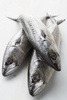 fresh fish - photo/picture definition - fresh fish word and phrase image
