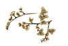 herbarium - photo/picture definition - herbarium word and phrase image