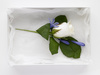 corsage - photo/picture definition - corsage word and phrase image