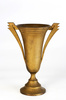 trophy cup - photo/picture definition - trophy cup word and phrase image