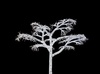 ghost tree - photo/picture definition - ghost tree word and phrase image