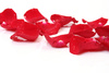 rose petals - photo/picture definition - rose petals word and phrase image