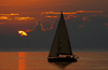 lonely sail - photo/picture definition - lonely sail word and phrase image