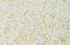 rice groats - photo/picture definition - rice groats word and phrase image