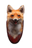 stuffed fox - photo/picture definition - stuffed fox word and phrase image