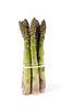green asparagus - photo/picture definition - green asparagus word and phrase image