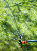 rotating sprinkler - photo/picture definition - rotating sprinkler word and phrase image