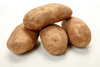 russet potatoes - photo/picture definition - russet potatoes word and phrase image