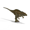 acrocanthozaurus - photo/picture definition - acrocanthozaurus word and phrase image