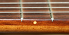 fretboard - photo/picture definition - fretboard word and phrase image
