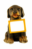 dog souvenir - photo/picture definition - dog souvenir word and phrase image