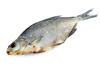 bream fish - photo/picture definition - bream fish word and phrase image