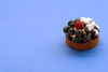 blueberry cake - photo/picture definition - blueberry cake word and phrase image