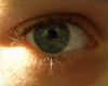eye - photo/picture definition - eye word and phrase image