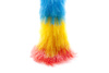feather duster - photo/picture definition - feather duster word and phrase image