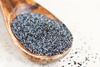 poppy seeds - photo/picture definition - poppy seeds word and phrase image