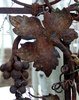 rusty leaf - photo/picture definition - rusty leaf word and phrase image