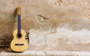 guitar - photo/picture definition - guitar word and phrase image