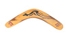 boomerang - photo/picture definition - boomerang word and phrase image