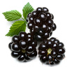 dewberries - photo/picture definition - dewberries word and phrase image