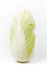 Chinese cabbage - photo/picture definition - Chinese cabbage word and phrase image