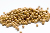 coriander seeds - photo/picture definition - coriander seeds word and phrase image
