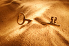 opportunity - photo/picture definition - opportunity word and phrase image