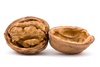 walnut - photo/picture definition - walnut word and phrase image