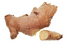 ginger root - photo/picture definition - ginger root word and phrase image