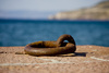 mooring ring - photo/picture definition - mooring ring word and phrase image
