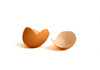 eggshell - photo/picture definition - eggshell word and phrase image