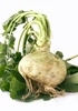 rutabaga root - photo/picture definition - rutabaga root word and phrase image