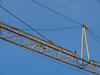 crane - photo/picture definition - crane word and phrase image