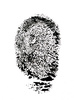 thumb print - photo/picture definition - thumb print word and phrase image
