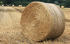 bale of straw - photo/picture definition - bale of straw word and phrase image