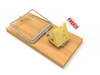 mousetrap - photo/picture definition - mousetrap word and phrase image
