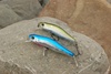 fishing lures - photo/picture definition - fishing lures word and phrase image