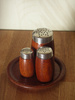 spice shakers - photo/picture definition - spice shakers word and phrase image