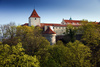 Prague castle - photo/picture definition - Prague castle word and phrase image
