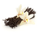vanilla beans - photo/picture definition - vanilla beans word and phrase image